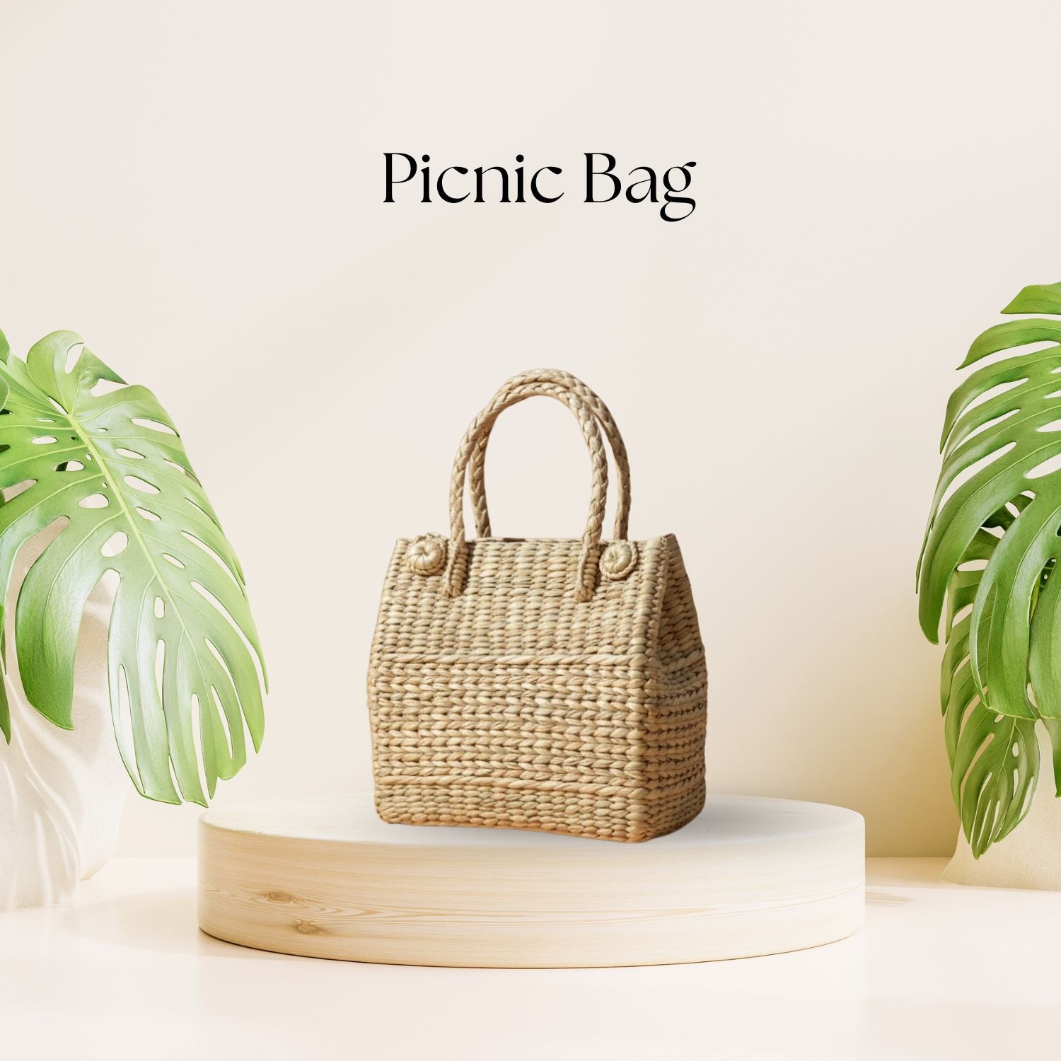 Picnic Bag